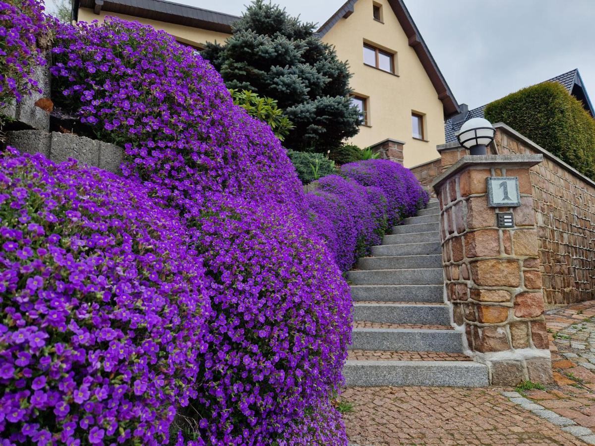 Ferienwohnung Hans Im Glueck Olbernhau Exterior foto